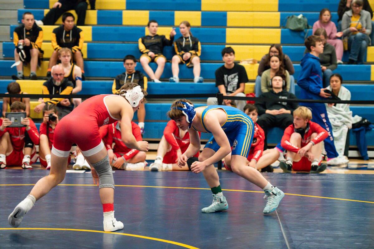 Panthers Shine At State